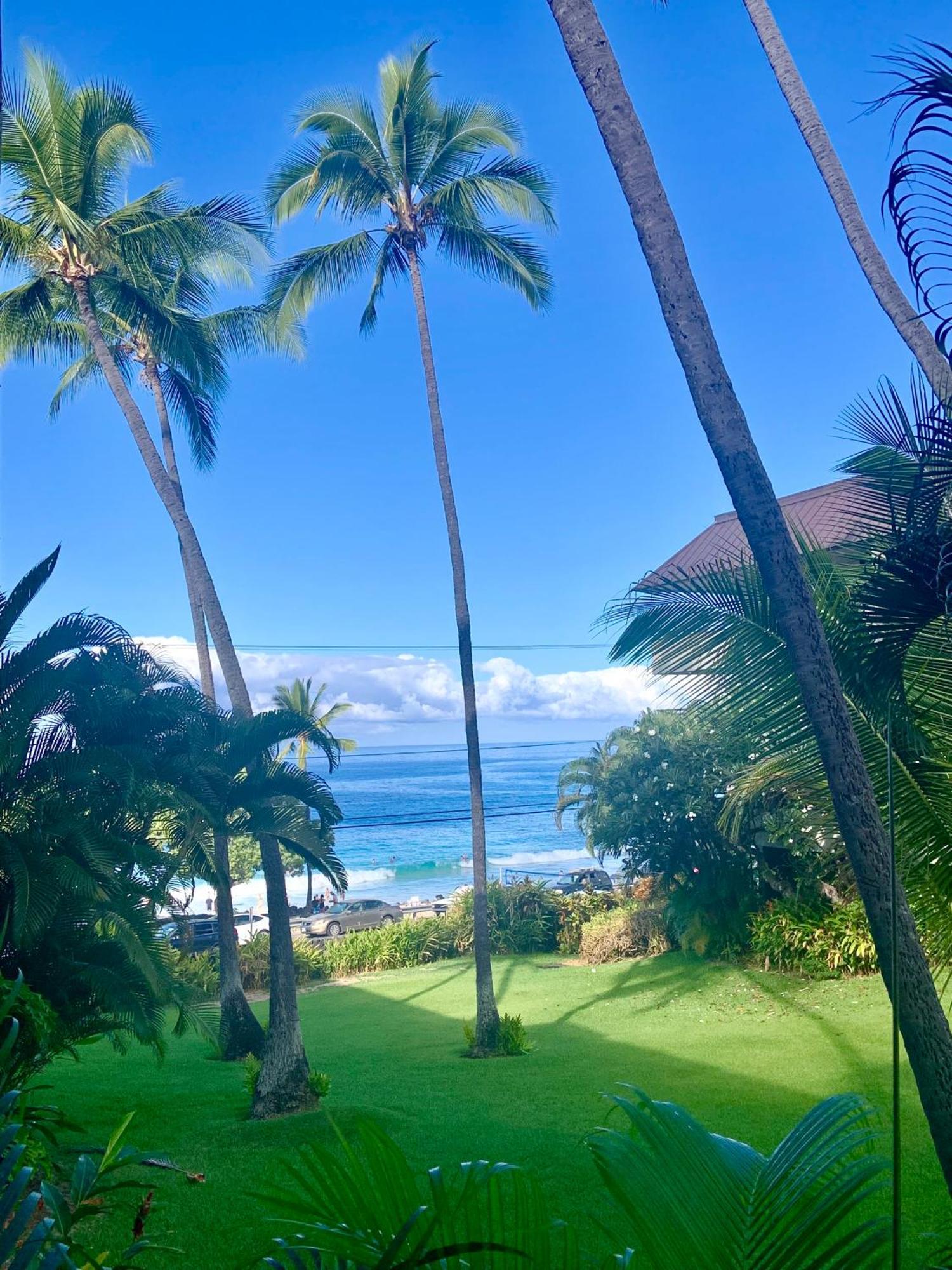 Magic Sands Beach View, 2B2B, Ac, Pool, Sleeps 6 Kailua-Kona Buitenkant foto